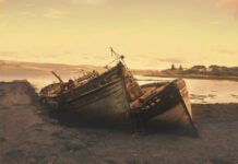 Реальный Робинзон Крузо: моряк несколько лет выживал на необитаемом острове