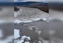 Лед тронулся: на реке Днестр начался ледоход (видео)