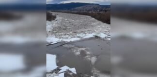 Лед тронулся: на реке Днестр начался ледоход (видео)