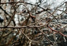 Синоптики предупредили одесситов о завтрашнем сильном снегопаде и гололеде.