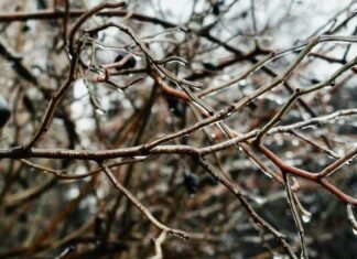 Синоптики предупредили одесситов о завтрашнем сильном снегопаде и гололеде.