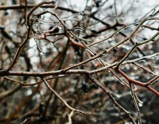 Синоптики предупредили одесситов о завтрашнем сильном снегопаде и гололеде.