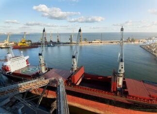 Україна здатна збільшити агроекспорт на понад 300% за умови залучення $85 млрд інвестицій.