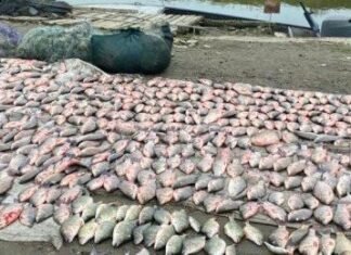 Браконьерство в Одесской области: на Кугурлуе и Ялпуге выловили рыбы на ₴2 млн