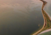 Оккупированные гектары: как война изменила Черное море у Одессы