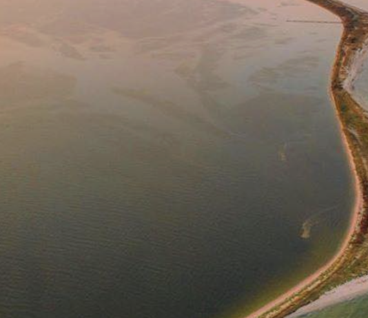 Оккупированные гектары: как война изменила Черное море у Одессы