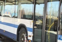 Одесса уже получила еще пять социальных автобусов из Киевщины, – ФОТО