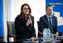 Бизнес должен нарастить собственную генерацию электричества к следующей зиме — Свириденко