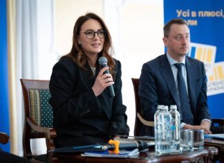 Бизнес должен нарастить собственную генерацию электричества к следующей зиме — Свириденко