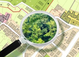 Кто должен контролировать использование городской земли и почему нарушения могут годами оставаться незамеченными