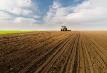 В Минэкономики назвали главный риск для аграриев Украины во время посевной