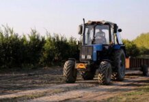 Украинские фермеры получат 124 миллиона гривен на развитие производства — Кабмин