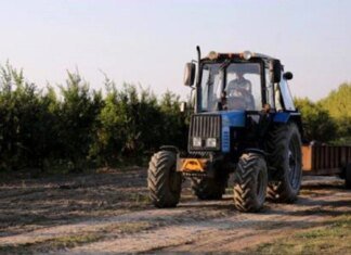 Украинские фермеры получат 124 миллиона гривен на развитие производства — Кабмин