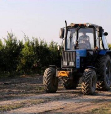 Украинские фермеры получат 124 миллиона гривен на развитие производства — Кабмин