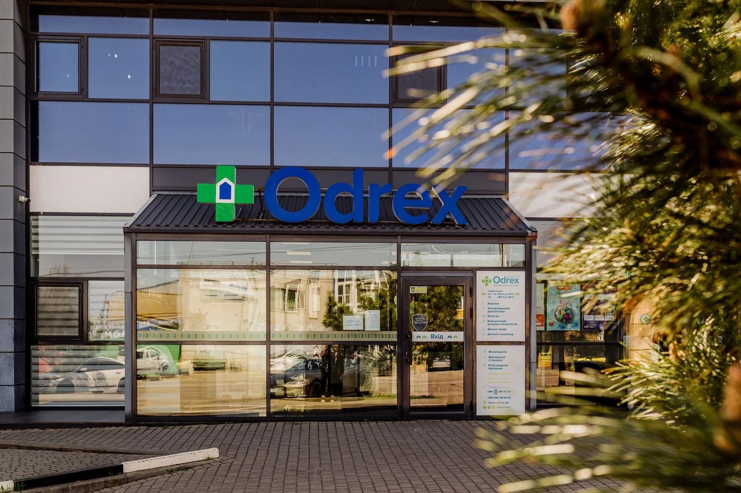 Как клиника Odrex теряет пациентов и деньги из-за публичных скандалов