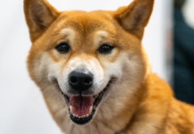 Температурный взрыв: когда в Украину придет летнее тепло