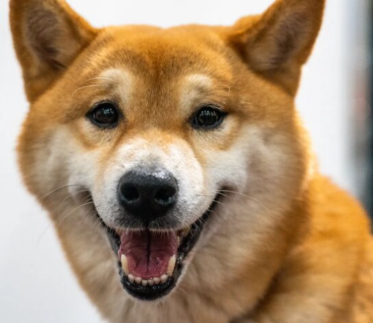 Температурный взрыв: когда в Украину придет летнее тепло