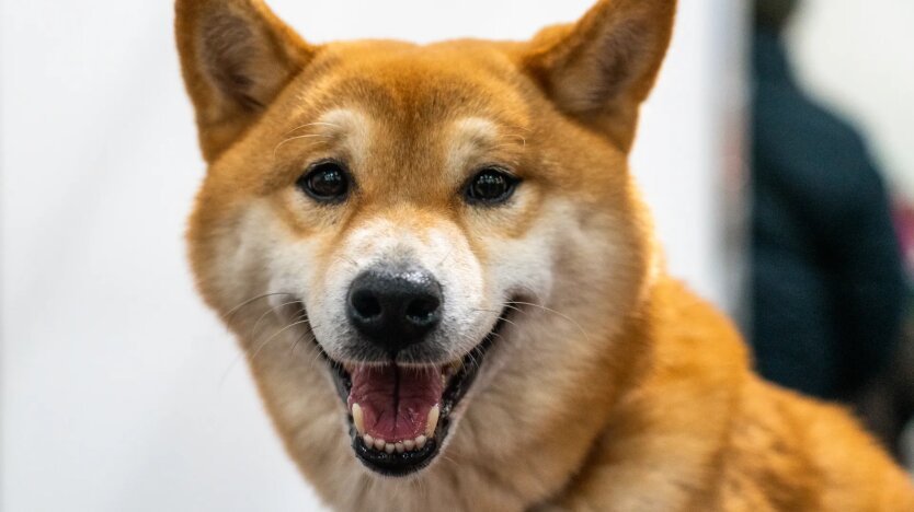 Температурный взрыв: когда в Украину придет летнее тепло