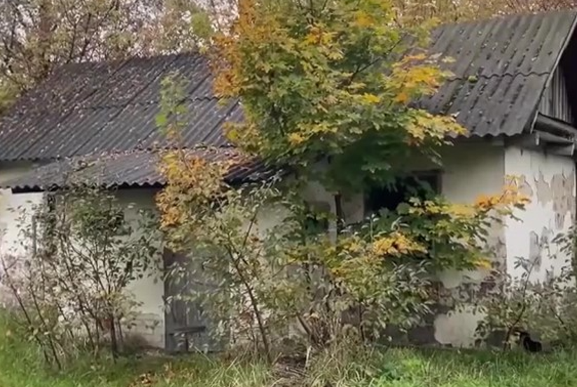 Женщина купила дом в селе, а потом снесла его бульдозером (фото)