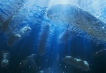 В недрах океане найдена «гигантская соковыжималка»: о ее существовании не догадывались