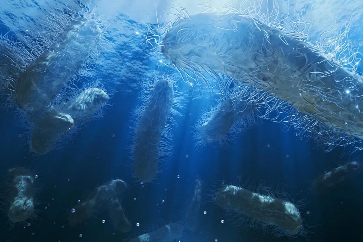 В недрах океане найдена «гигантская соковыжималка»: о ее существовании не догадывались