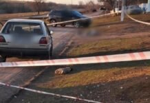 Смертельное ДТП в Одесской области: пьяный водитель сбил женщину насмерть, — ФОТО