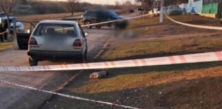 Смертельное ДТП в Одесской области: пьяный водитель сбил женщину насмерть, — ФОТО