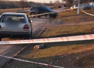 Смертельное ДТП в Одесской области: пьяный водитель сбил женщину насмерть, — ФОТО