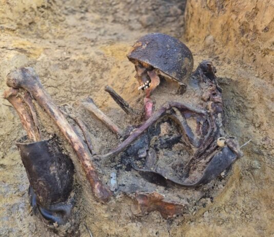 Место последнего боя: польские археологи нашли останки солдат времен Второй мировой войны (фото)