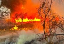 Сухая трава уже горит: в Одесской области фиксируют десятки пожаров