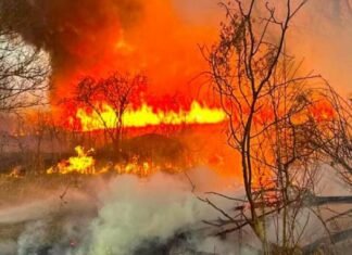 Сухая трава уже горит: в Одесской области фиксируют десятки пожаров