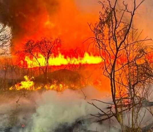 Сухая трава уже горит: в Одесской области фиксируют десятки пожаров