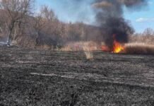 Люди курят — земля горит: Одесщина задыхается от пожаров