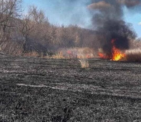 Люди курят — земля горит: Одесщина задыхается от пожаров