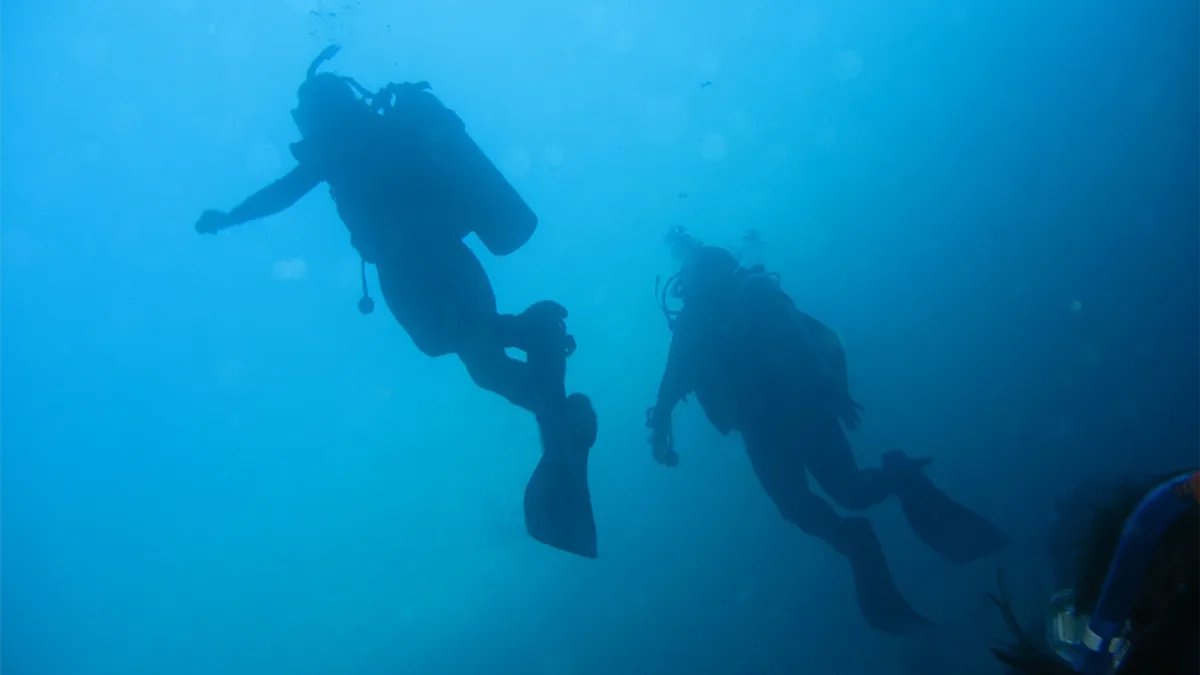 У побережья Франции найден затонувший город: его создали люди 7000 лет назад (видео)