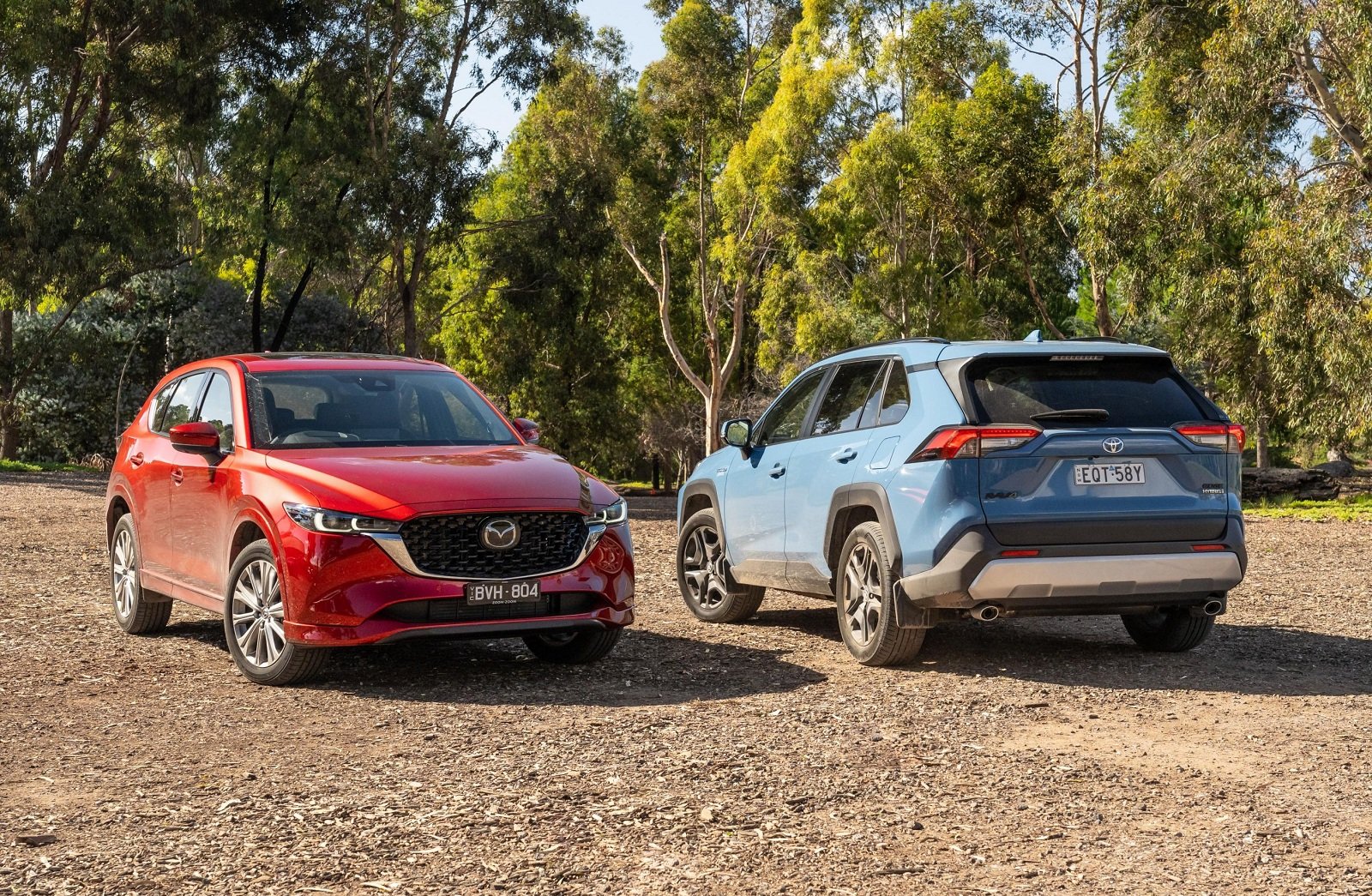 В Украине рекордный спрос на кроссоверы: самые популярные модели (фото)