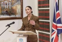 Елена Дума заявила о давлении, псевдореформе и попытках контроля над государственными активами, — СМИ