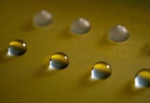 Земля создала Айсмена до того, как его придумал Marvel: найден гриб, способный заморозить воду