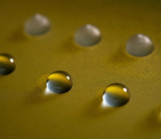 Земля создала Айсмена до того, как его придумал Marvel: найден гриб, способный заморозить воду