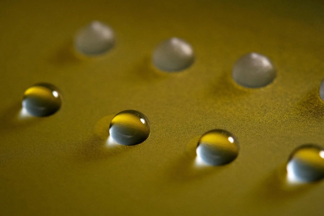 Земля создала Айсмена до того, как его придумал Marvel: найден гриб, способный заморозить воду