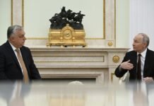 «Они друзья»: Зеленский приравнял Орбана к Путину (видео)