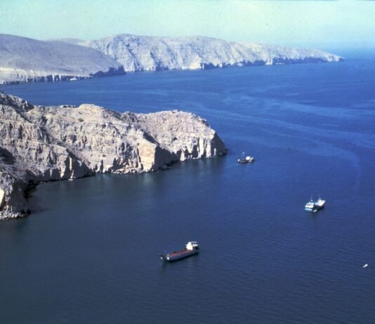 «Уничтожат электростанции»: Трамп дал Ирану 48 часов, чтобы открыть Ормузский пролив