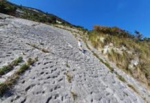 80 млн лет назад нечто оставило 1000 отметин на склоне горы: ученые не знают, что это было