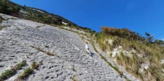 80 млн лет назад нечто оставило 1000 отметин на склоне горы: ученые не знают, что это было