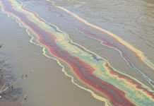 Тревожные пятна на воде в Одесской области: что происходит с рекой Днестр