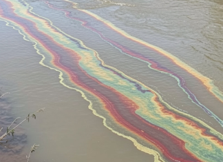 Тревожные пятна на воде в Одесской области: что происходит с рекой Днестр