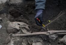 На Ровенщине закончили раскопки: нашли ли жертв Волынской трагедии