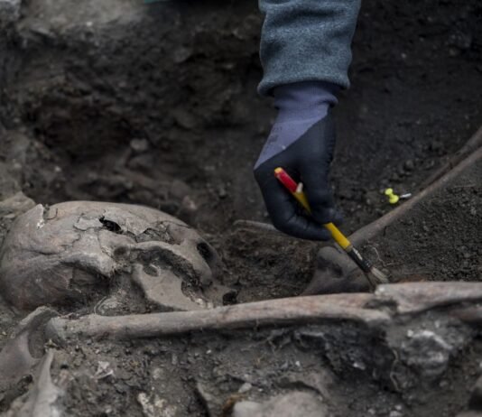 На Ровенщине закончили раскопки: нашли ли жертв Волынской трагедии