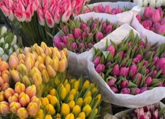 Сколько стоят цветы к 8 марта в Одессе: цены на Привозе и в магазинах, — ФОТО