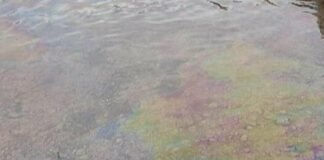 В Одессе люди могут остаться без питьевой воды из-за загрязнения Днестра после удара по ГАЭС